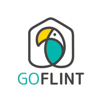 goflint